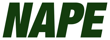 Nape Logo